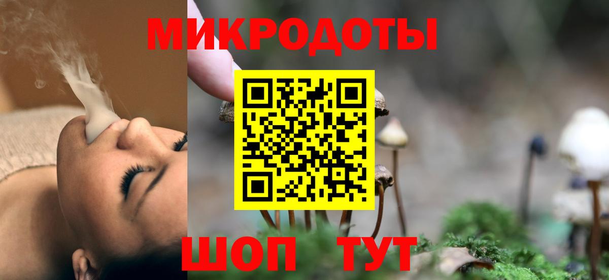 Советская Гавань  Псилоцибиновые грибы MAGIC MUSHROOMS  Вход с VPN 